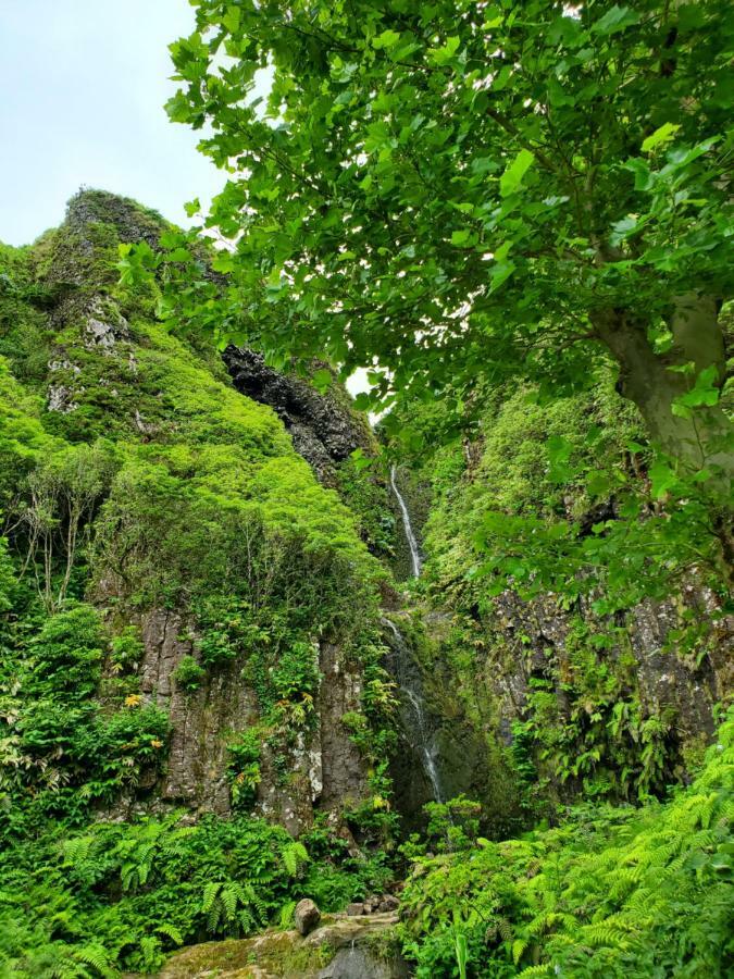 Faja Grande Casa Fagundesヴィラ エクステリア 写真